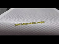 De Lucht Prefilter van de lage Drukdaling, de Media van de de Polyesterfilter van G3 G4 Broodjes